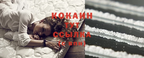 тгк Алзамай